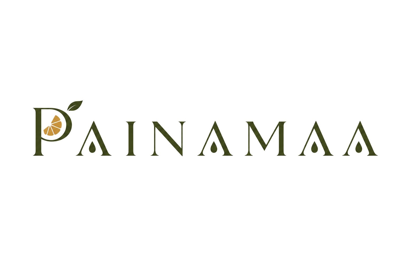 painamaa.com
